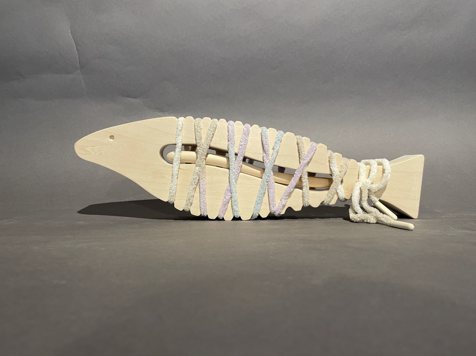 Fish Toy