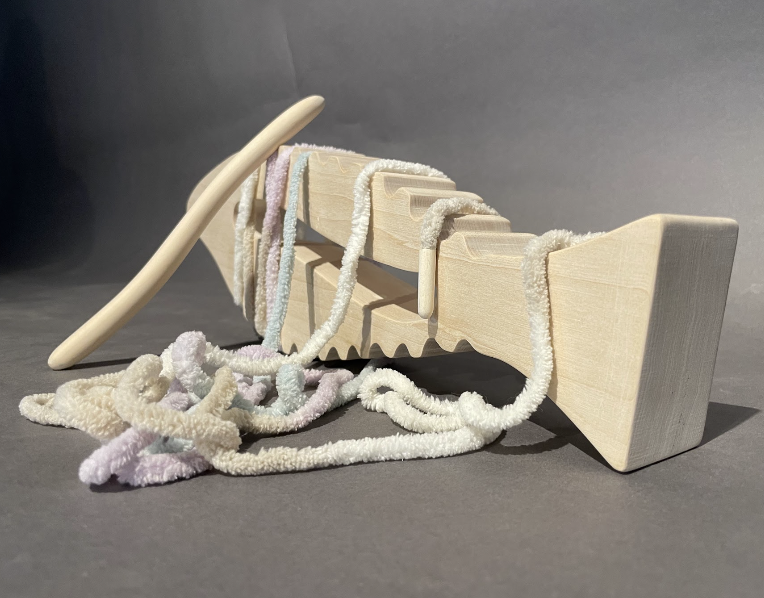 Fish Toy 5