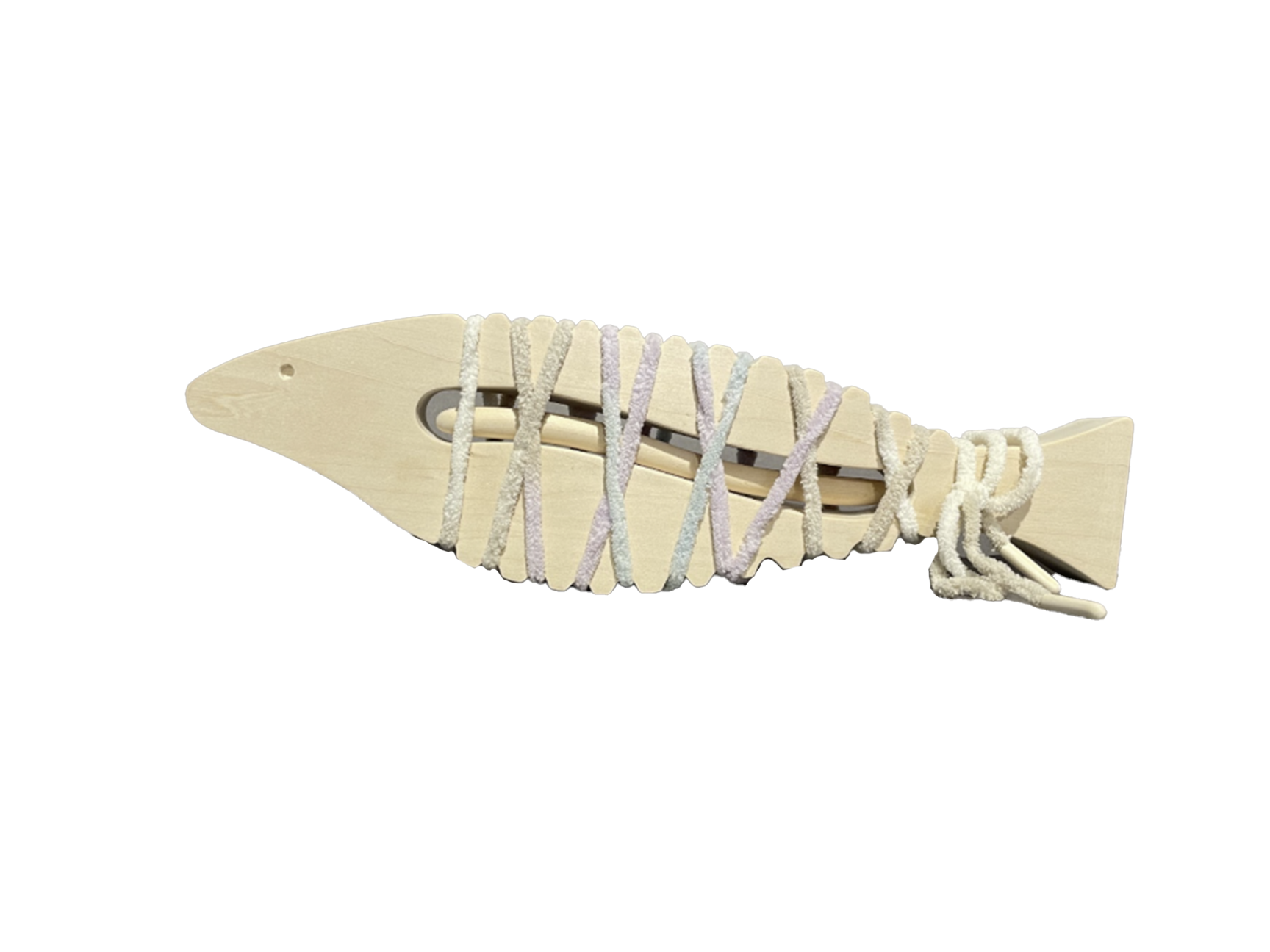 Fish toy